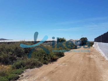 Terreny rústic en venda a Níjar pueblo