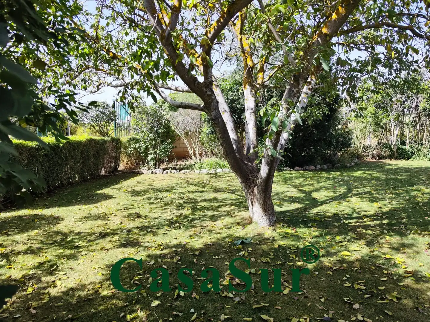 Jardí de Casa o xalet en venda en Cubillas de Santa Marta amb Calefacció, Jardí privat i Terrassa