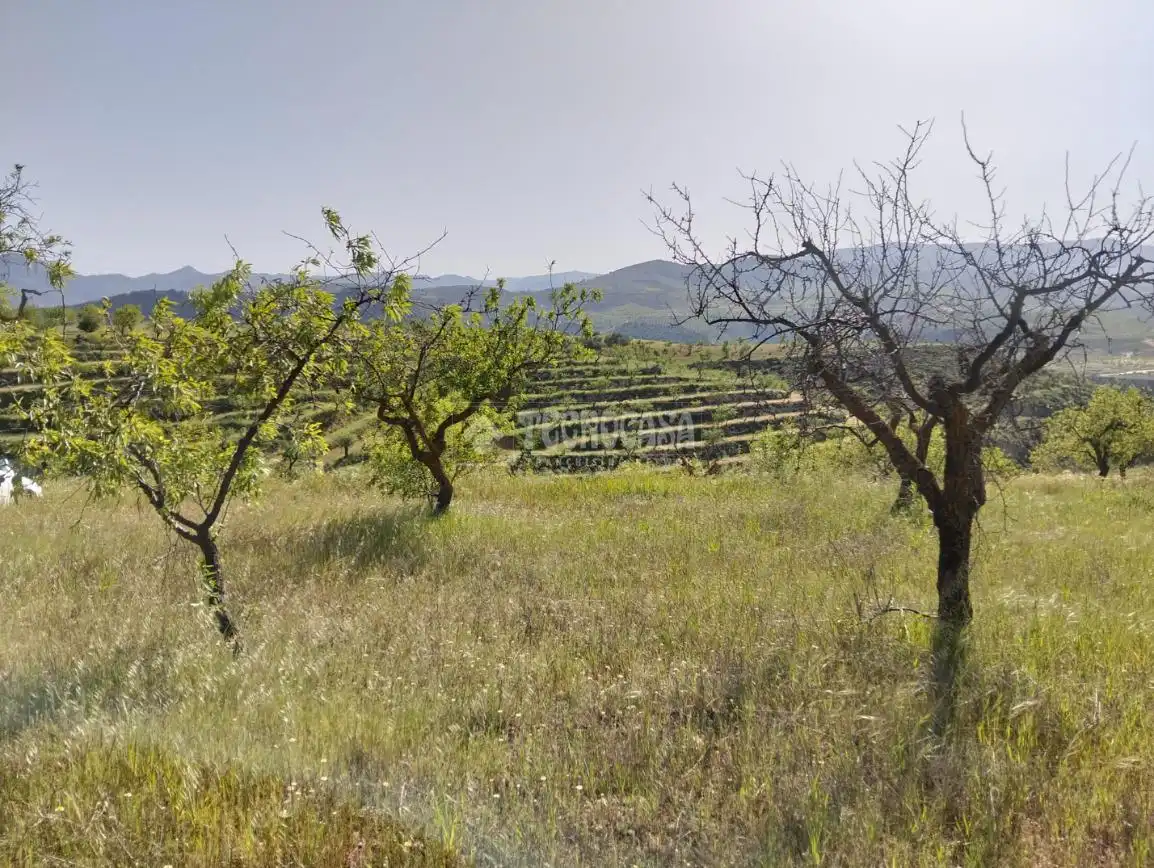 Rural land for sale in Dúrcal, imagen 16