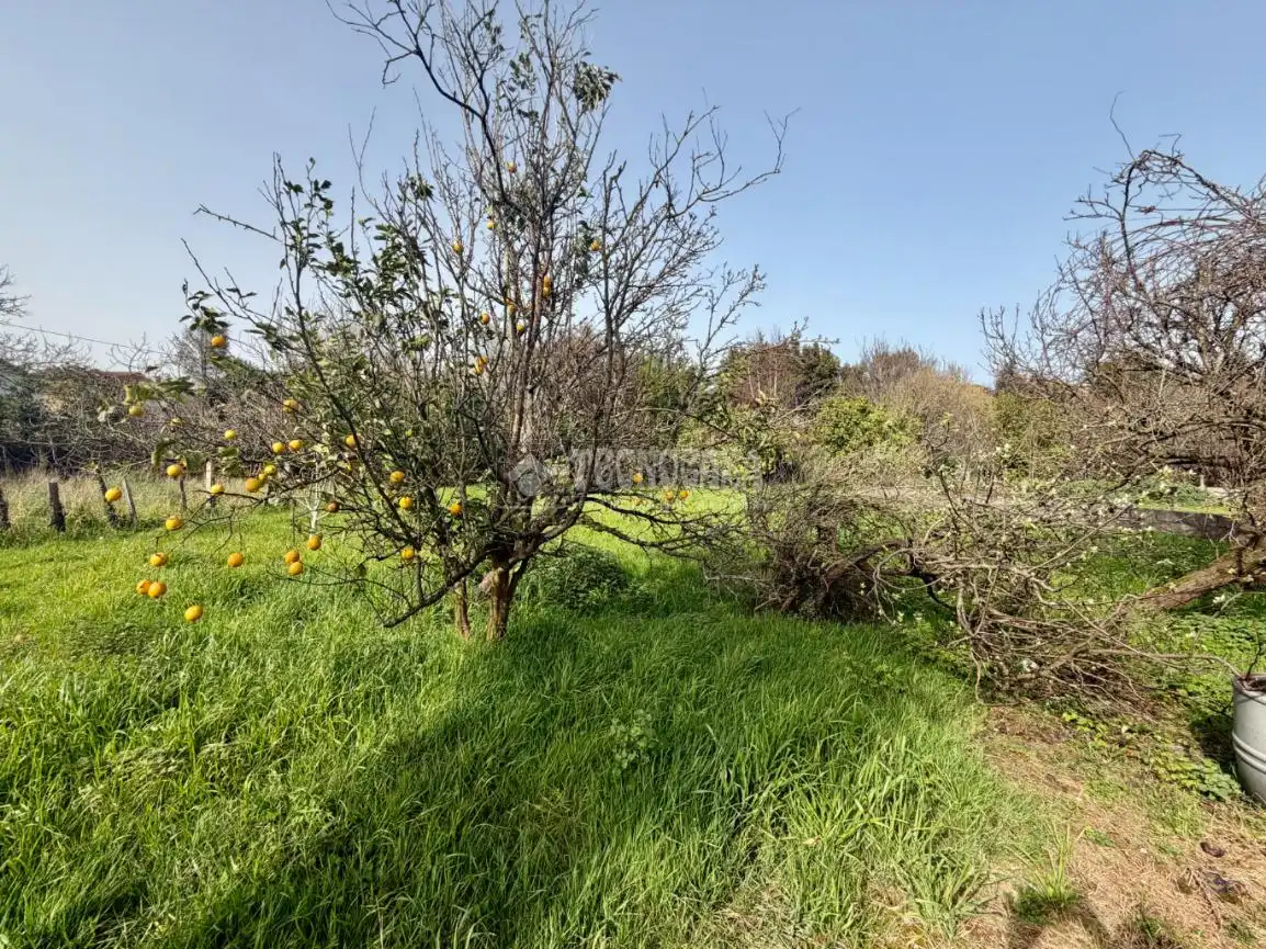 Houses for sale in Maliaño
