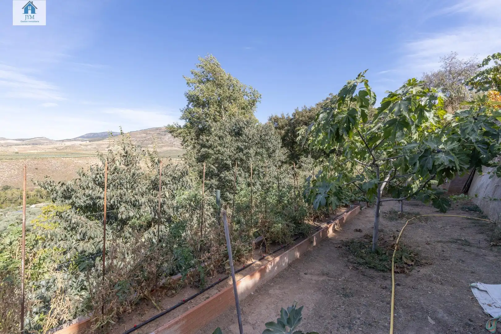 Jardín de Casa o chalet en venta en Dílar con Aire acondicionado, Calefacción y Jardín privado