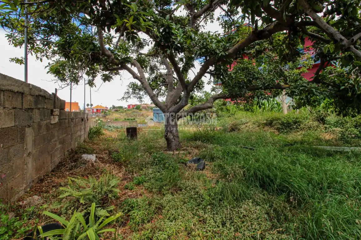 Terreno residencial en venta en El Sauzal, imagen 13