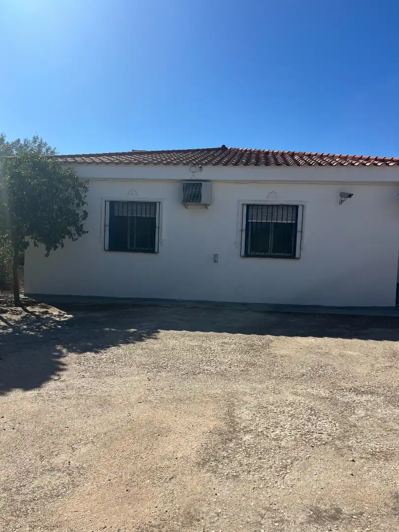 Xalet amb jardí de lloguer a Buenavista - Lauro Golf, imagen 32
