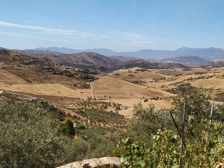 Vista exterior de Terreno en venta en Villanueva de la Concepción