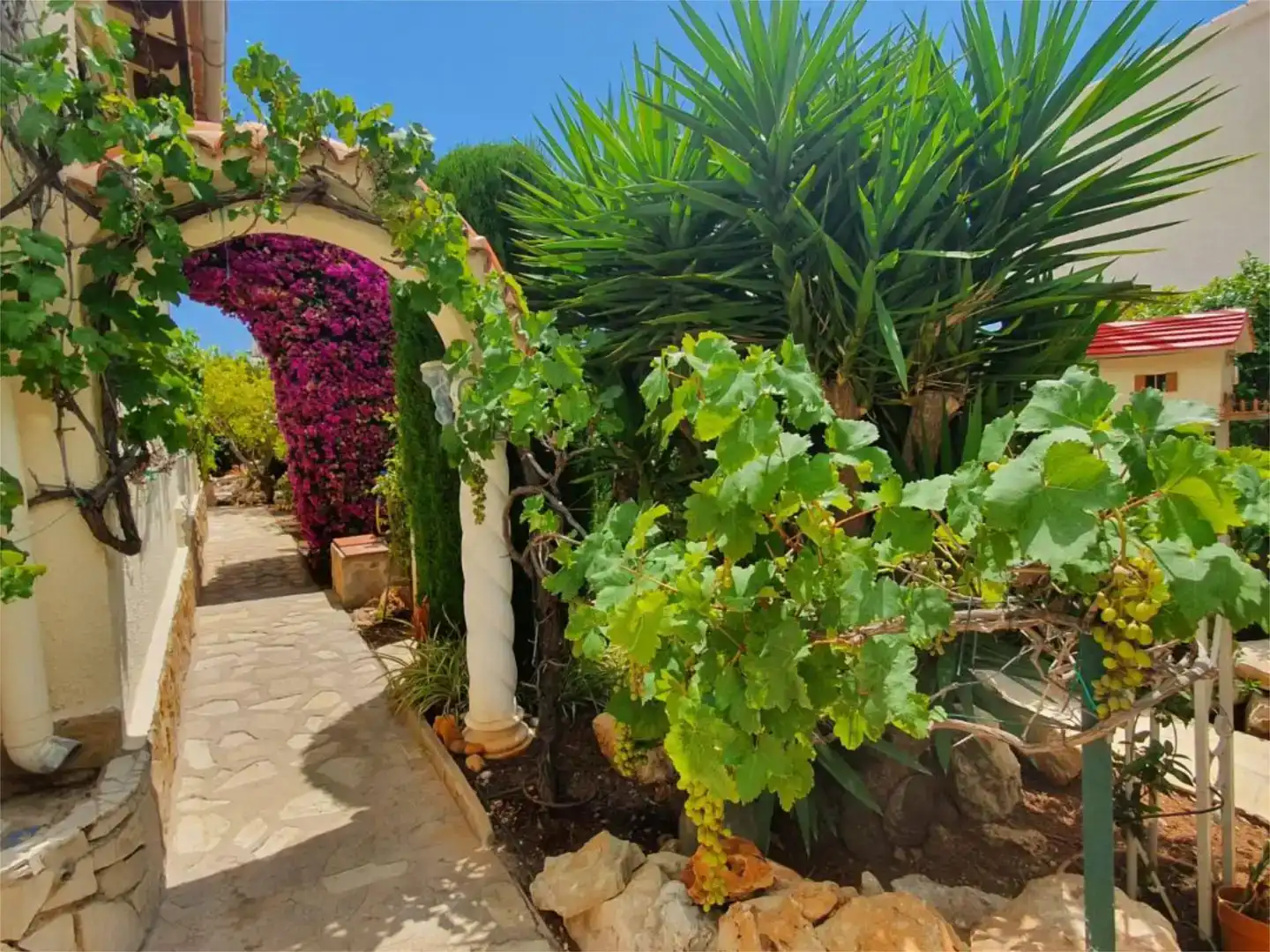 Jardí de Casa o xalet en venda en Calpe / Calp amb Aire condicionat, Piscina i Balcó