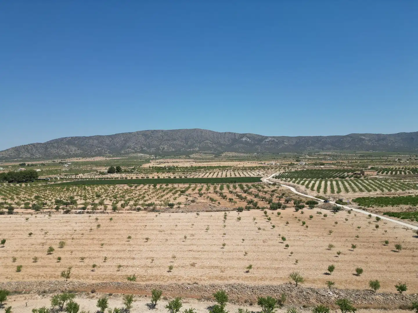 Terreno residencial en venta en El Pinós / Pinoso