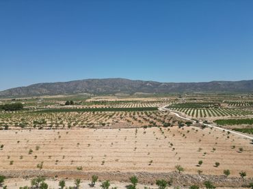 Wohnbaugrundstück zum Verkauf in El Pinós / Pinoso