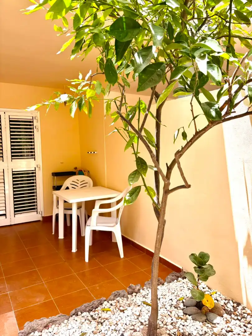 Balcony of Apartments for rent in Adeje  with Air Conditioner, Parquet flooring and Terrace