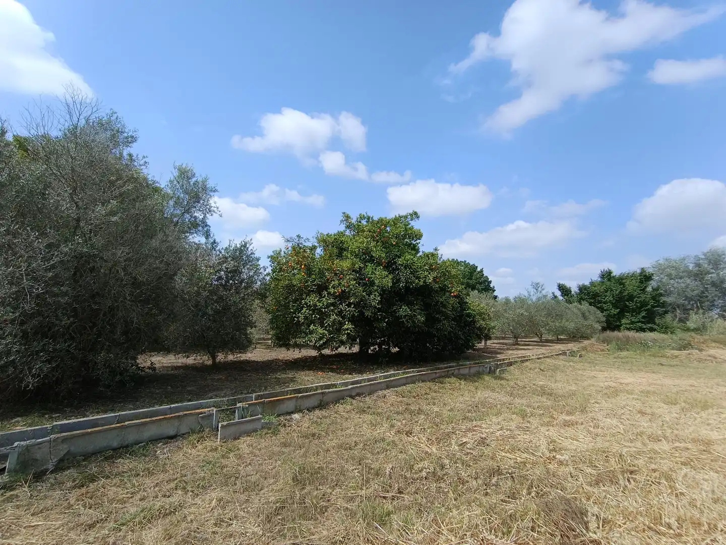 Casa o chalet en venta en Alguazas con Jardín privado y Trastero
