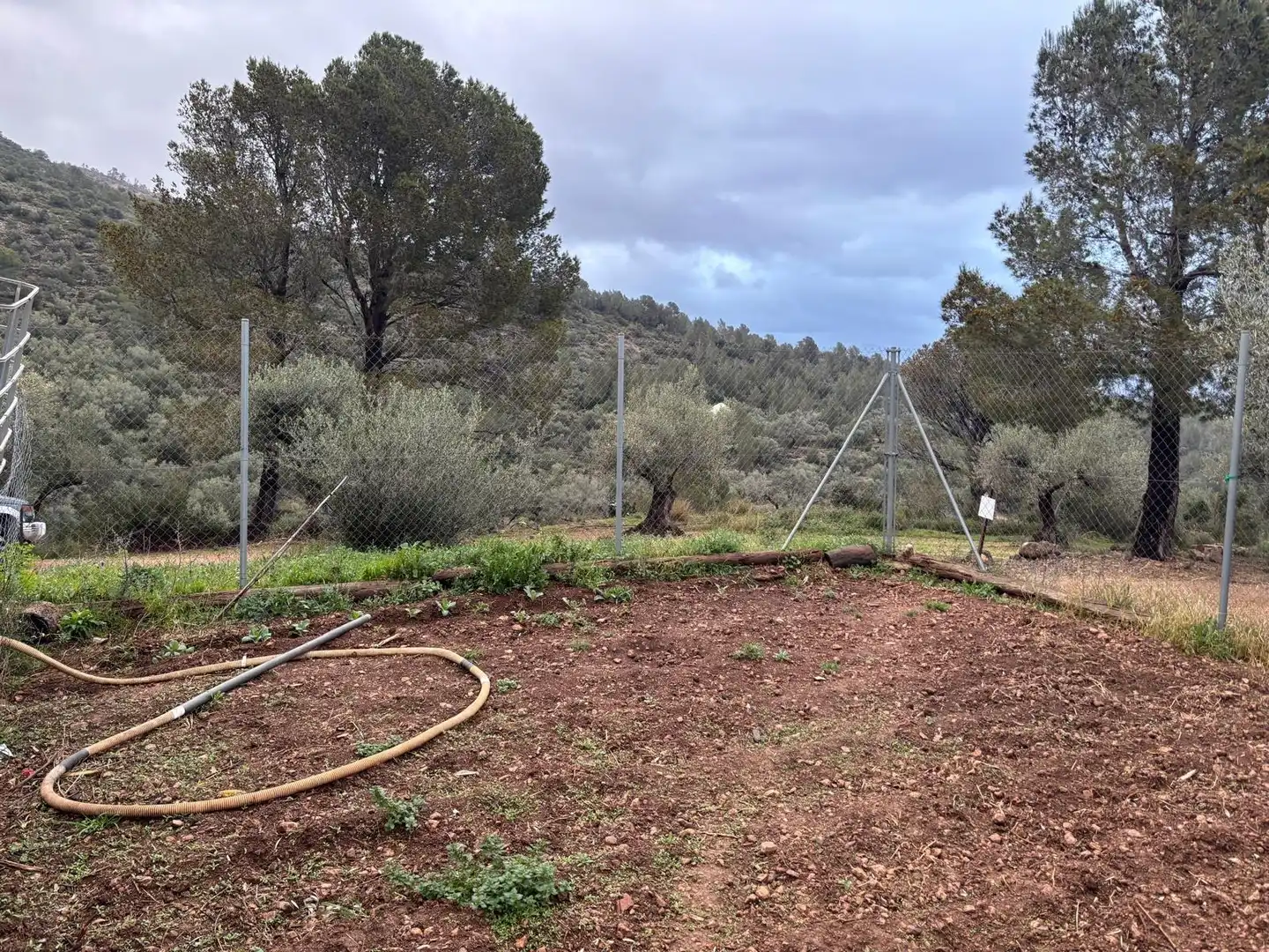 Casa rústica en venta en Alfara de Carles, imagen 17