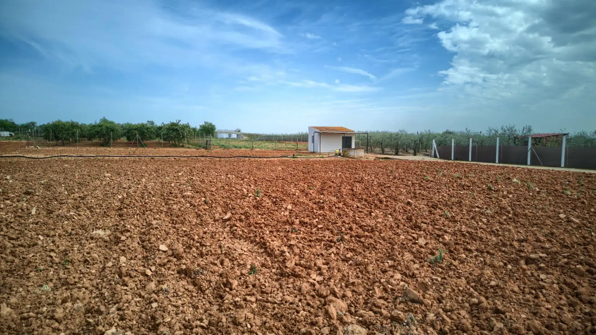 Land for sale in Sanlúcar la Mayor