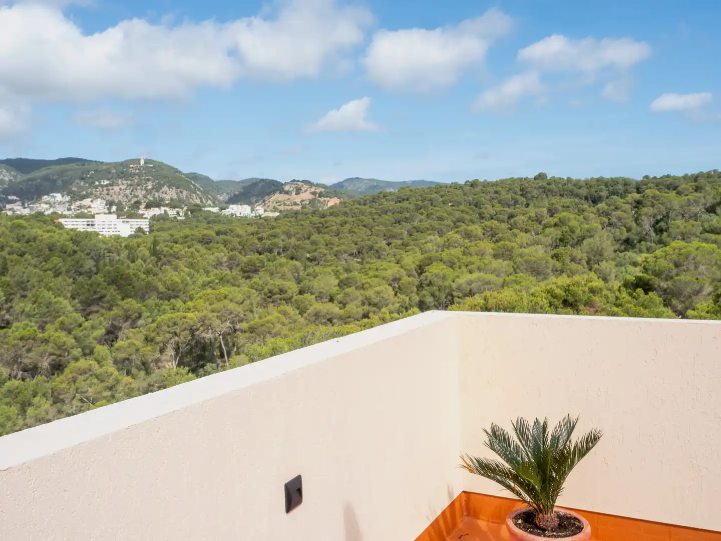 Terrassa de Àtic en venda en  Palma de Mallorca amb Aire condicionat, Terrassa i Piscina