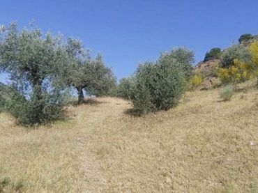 Residential land for sale in Paraje Rio Darro, Polig 17, Parc 50, 51 y Parte 34