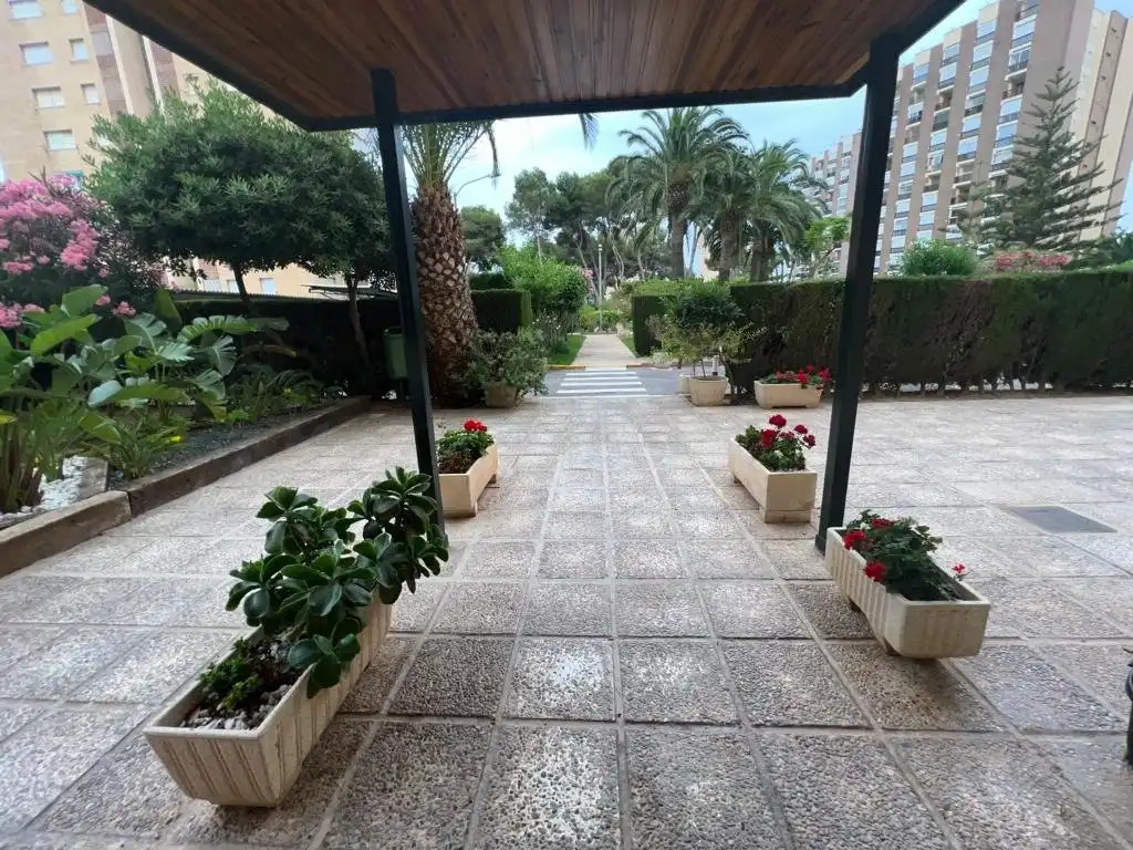 Apartments for rent in Calle GABRIEL Y GALAN-CMOR, Campoamor