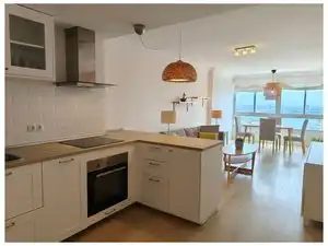 Cocina de Piso de alquiler en Las Palmas de Gran Canaria con Amueblado