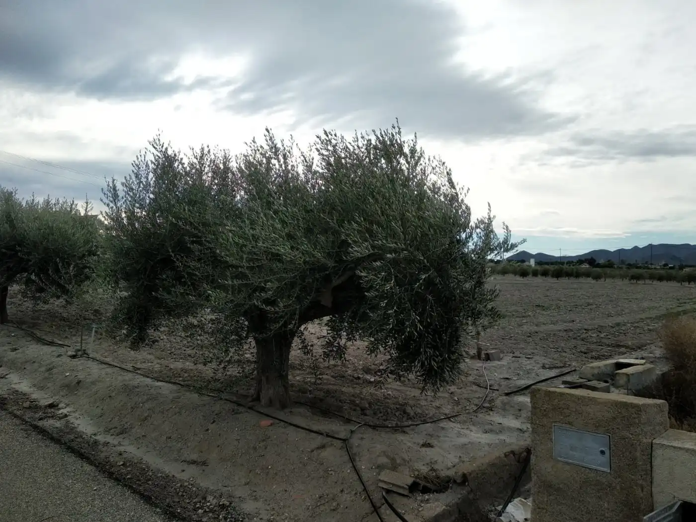 Terrenys i solars en venda a Puerto Lumbreras, imagen 14