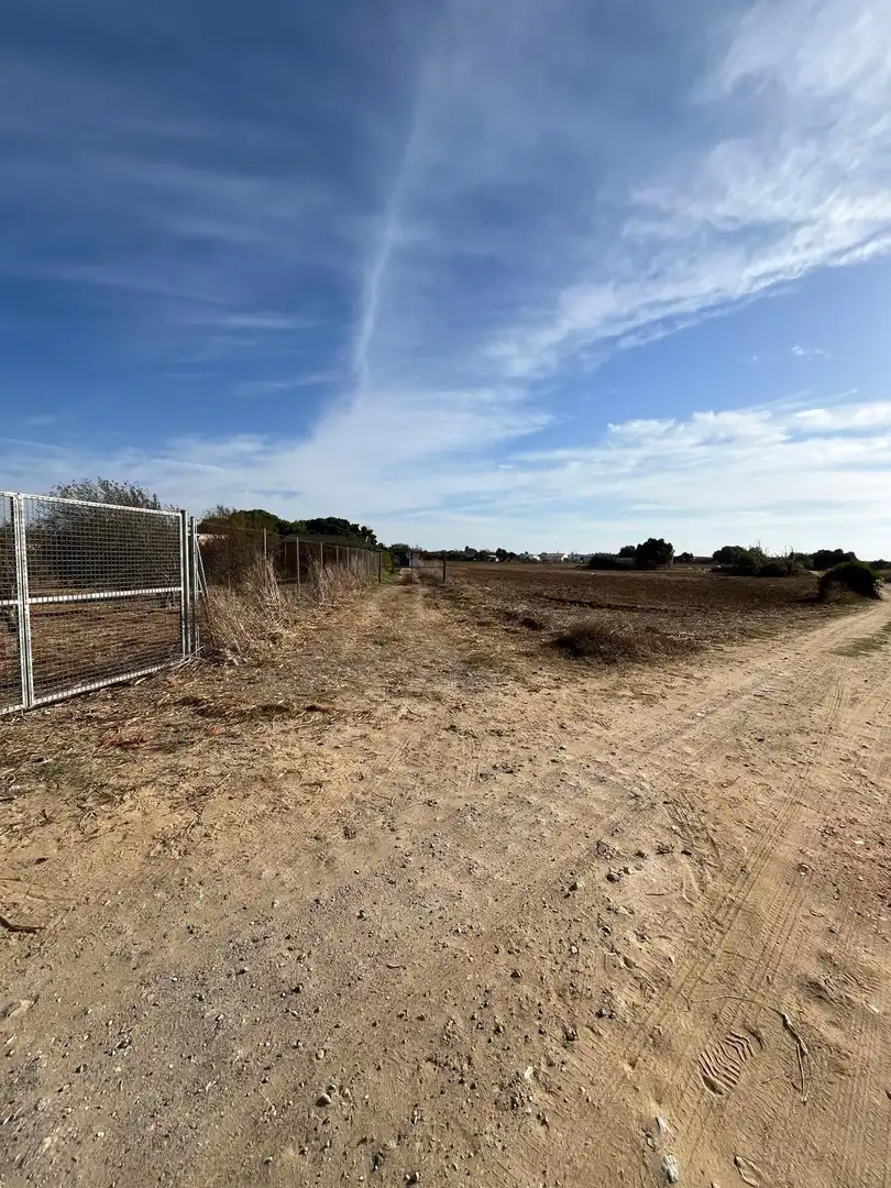Rustikales Grundstück zum Verkauf in hozanejos pago huno, imagen 7