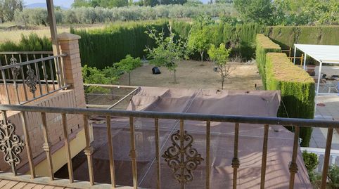 Foto 4 de Finca rústica en venta en Albolote, Granada