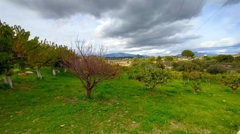 Foto 4 de Finca rústica en venda a N/a, Las Lomas, Málaga