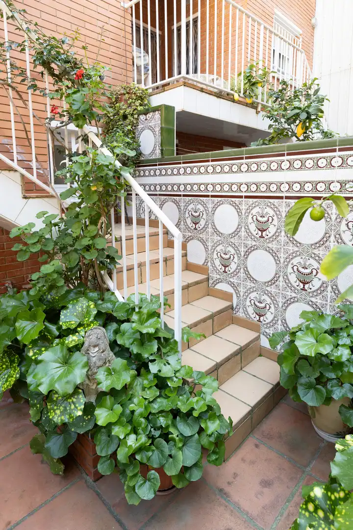 House with terrace for sale in Zona alta, imagen 24