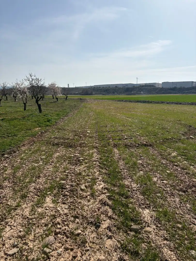 Terreno rustico in vendita a Arrúbal, imagen 4