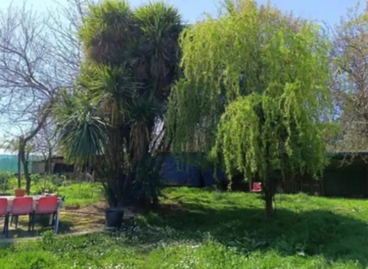 Jardí de Casa o xalet en venda en O Carballiño   amb Calefacció, Jardí privat i Traster