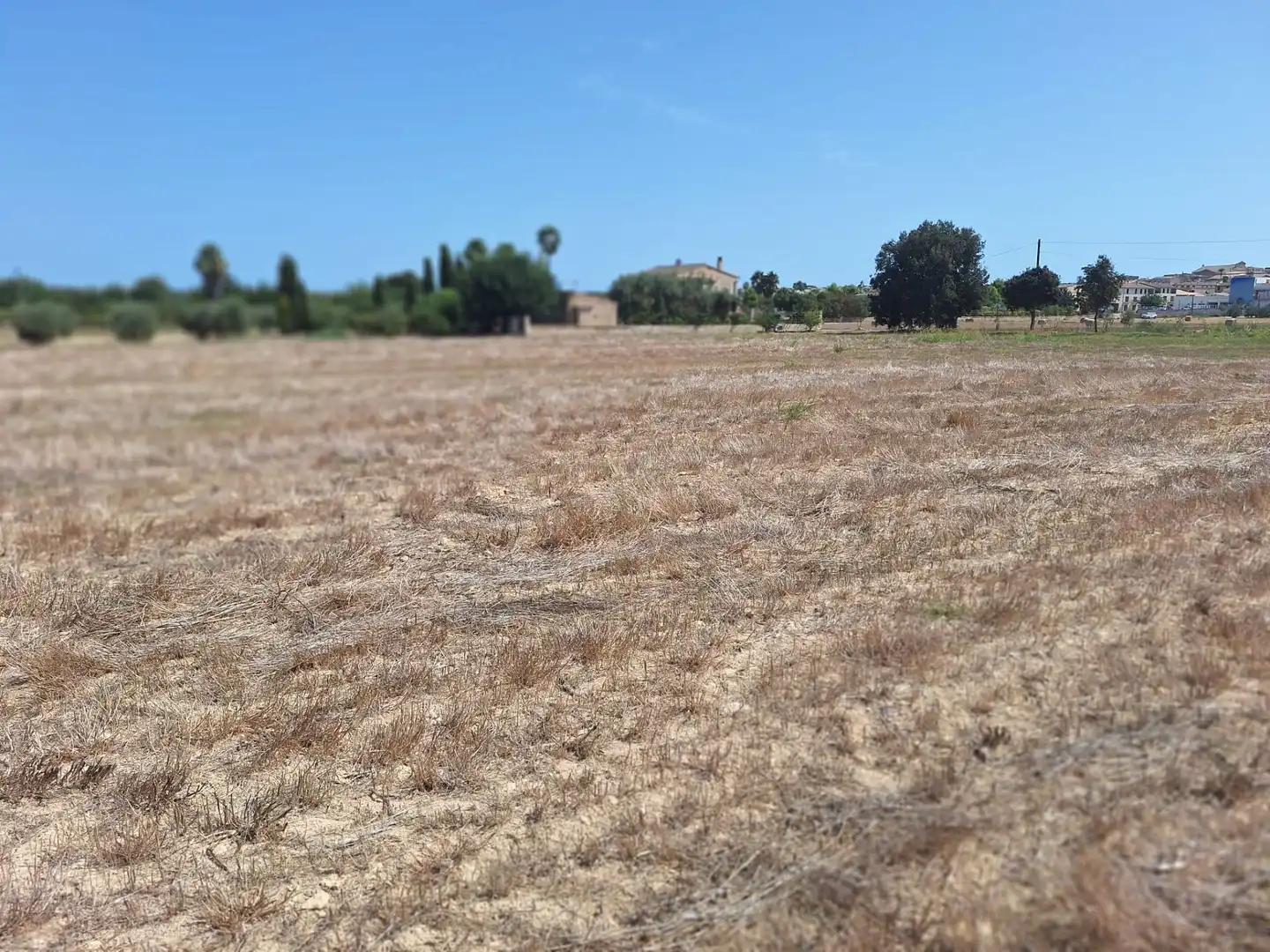 Terreni e lotti in vendita a Sineu