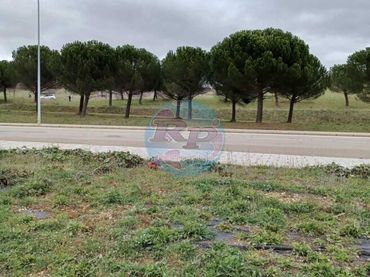Terreno rústico en venta en San Esteban