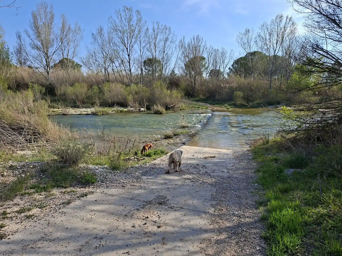 Terreni e lotti in vendita a Calle Mayor, imagen 2