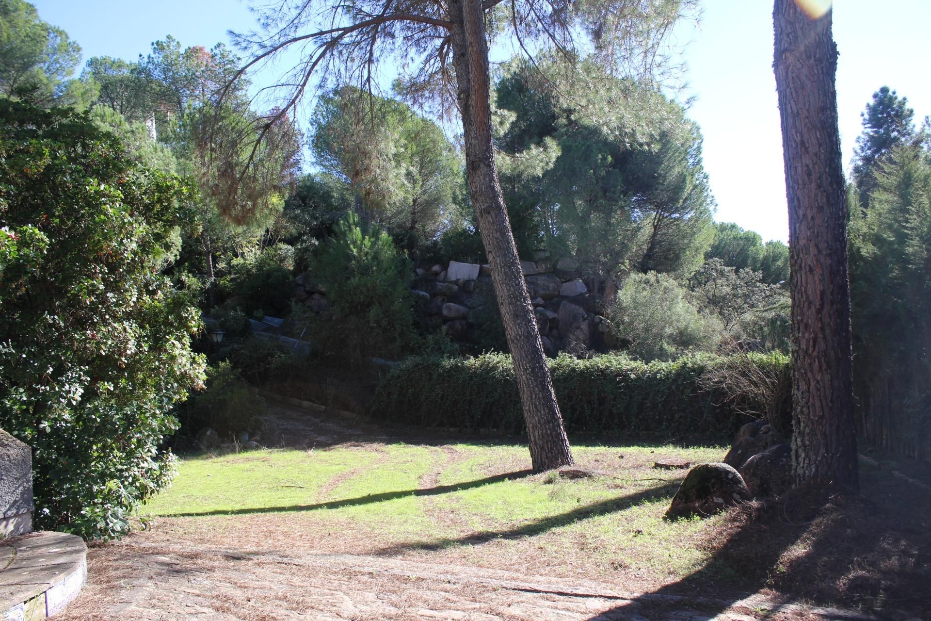 Casa o chalet en venta en  ATALAYA ENCANTADA (JARAS), Las Jaras, Periurbano Oeste - Sierra