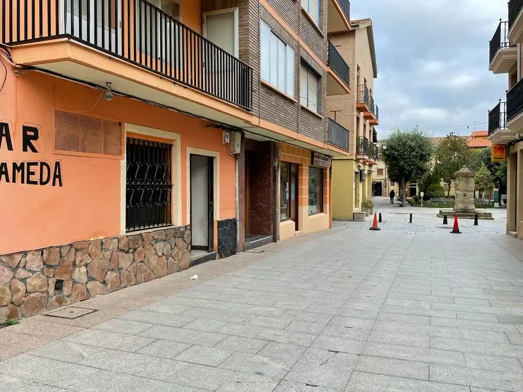 Local comercial en venda a Calle la Alameda 3, imagen 5