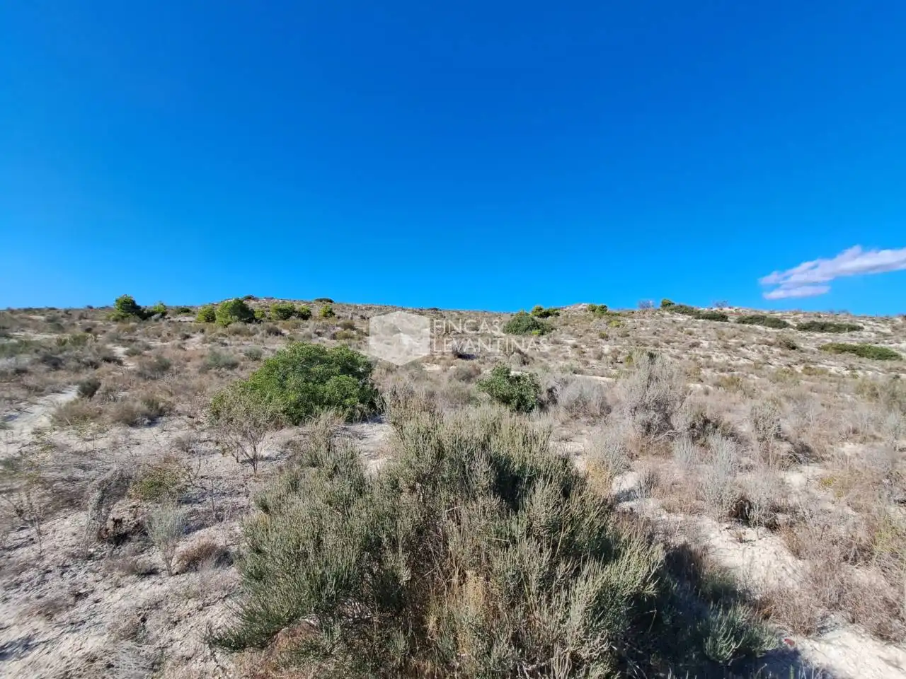 Terreny residencial en venda a Partidas de Alicante, imagen 10