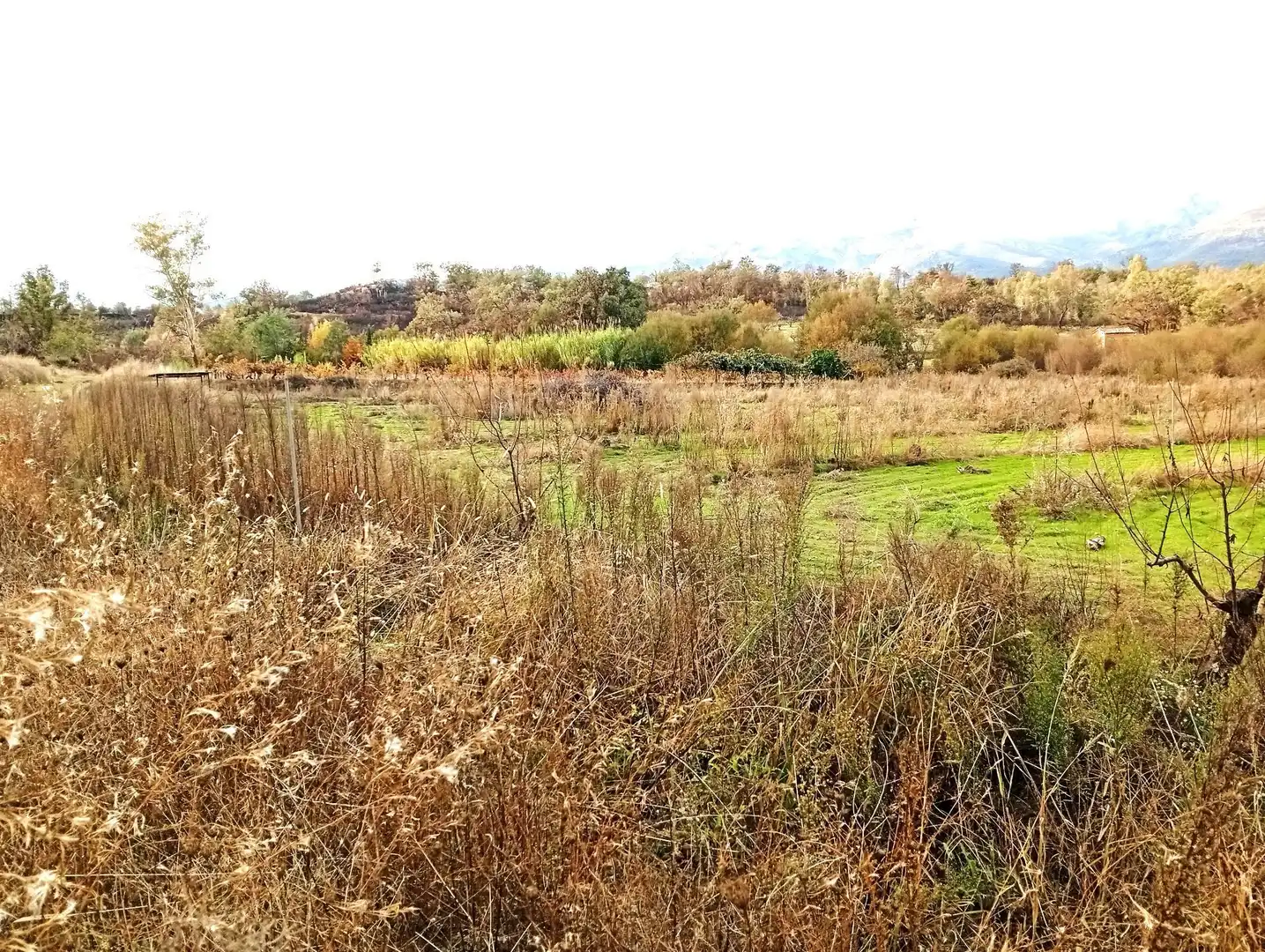 Terreni e lotti in vendita a Villanueva de la Vera, imagen 33