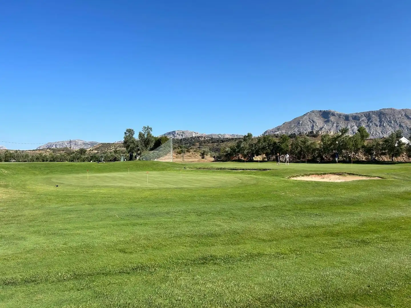 Lands and plots for sale in Centro, imagen 15