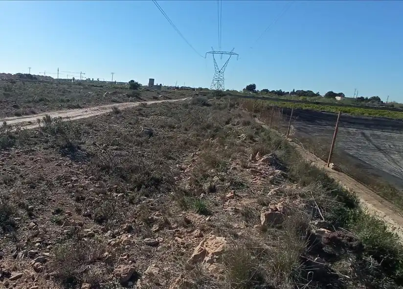 Terreno rústico en venta en LO MESEGUER. LOS MONTESINOS, POL 1, imagen 6