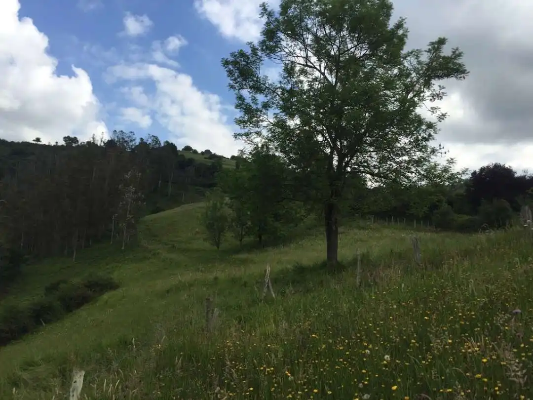 Rustikales Grundstück zum Verkauf in San Claudio - Trubia - Las Caldas, imagen 8
