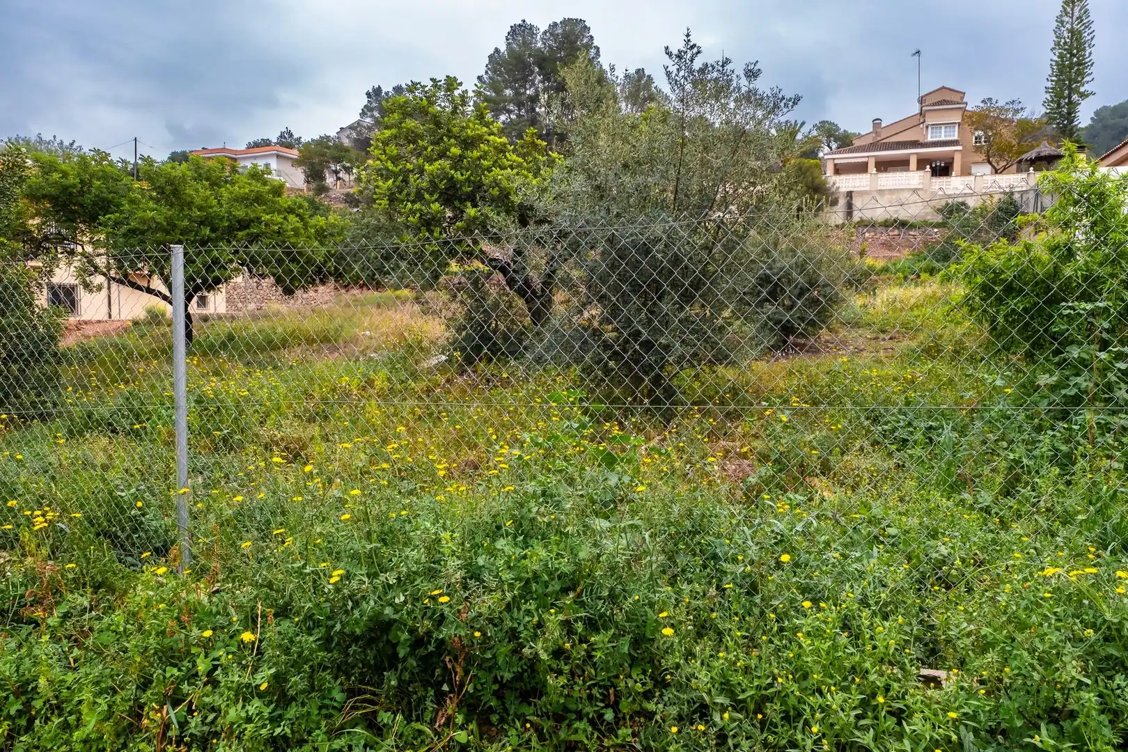 Residencial en venta en Calle Calle de Bosch Marín, Torres Torres