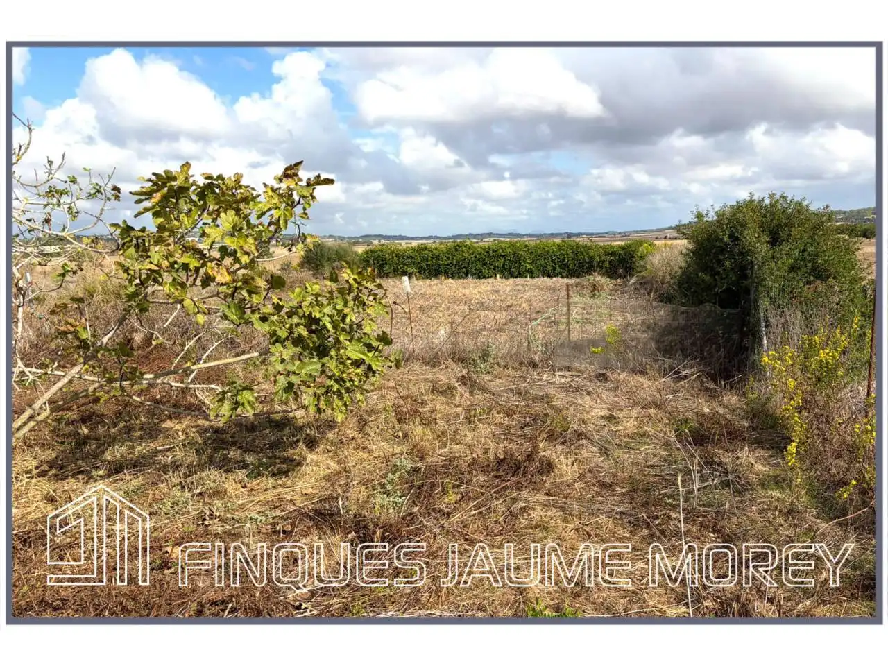 Finca rústica en venta en Maria de la Salut con Jardín privado