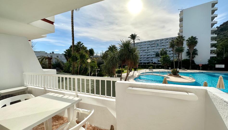 Photo 1 of Study to rent in Avinguda Pere Mas I Reus, Port d'Alcúdia - Platja d'Alcúdia, Illes Balears