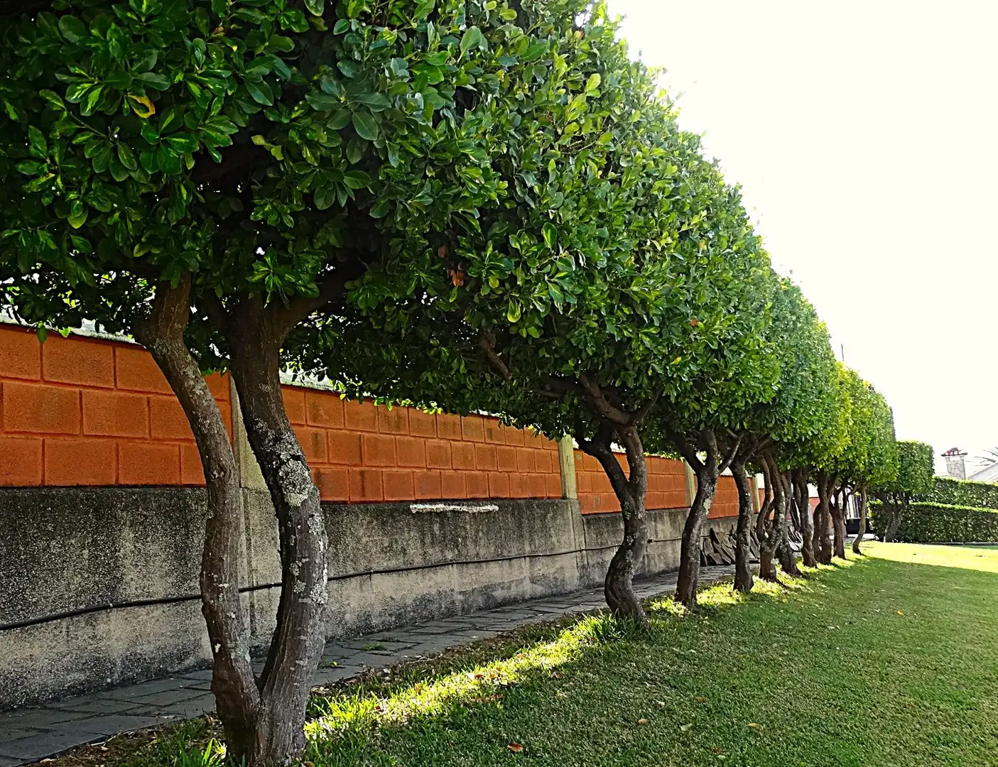 Vista exterior de Casa o xalet en venda en Valdoviño amb Calefacció, Jardí privat i Parquet
