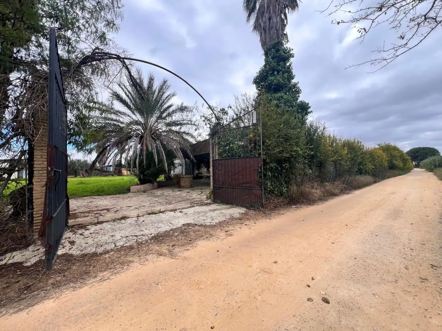 Vista exterior de Casa o chalet en venta en Los Palacios y Villafranca con Piscina