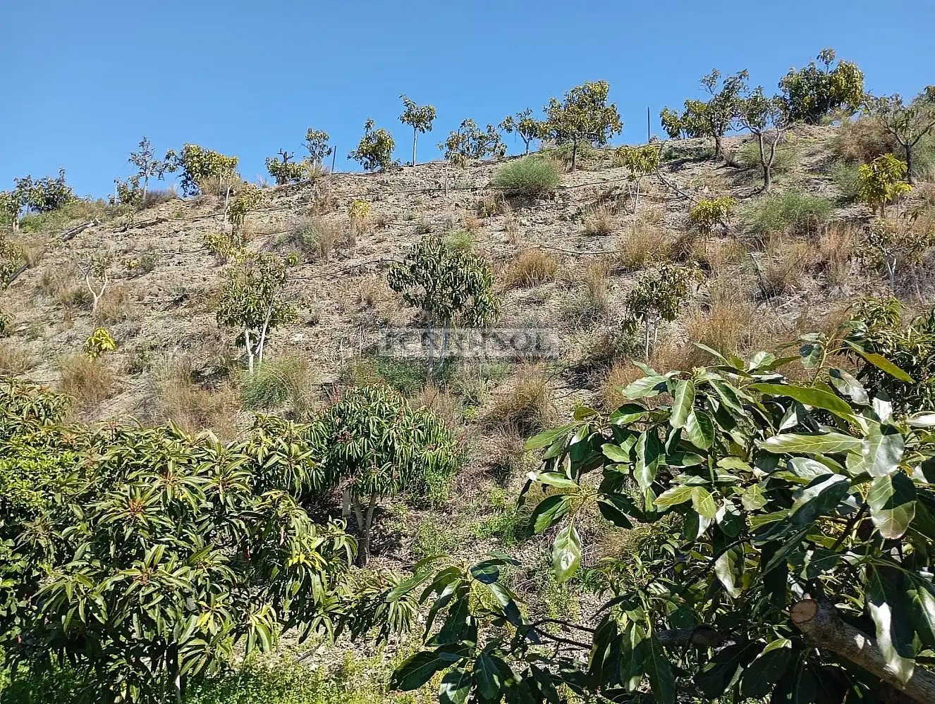 Grundstücke und Bauplätze zum Verkauf in Vélez-Málaga ciudad, imagen 39
