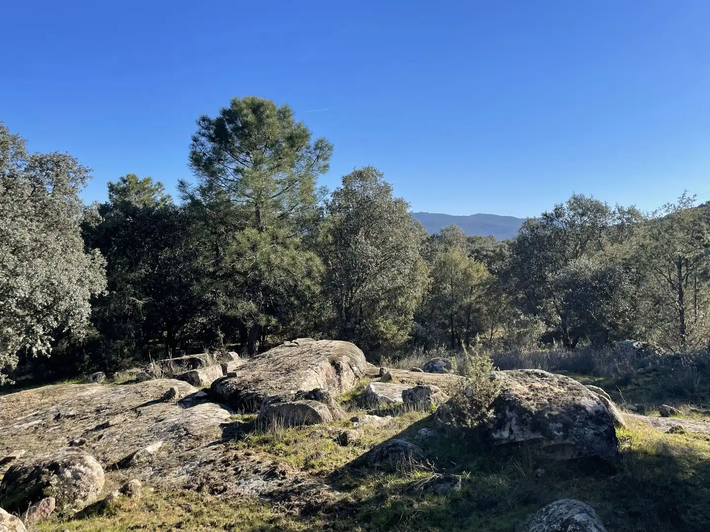 Terreni e lotti in vendita a Fresnedilla, imagen 18