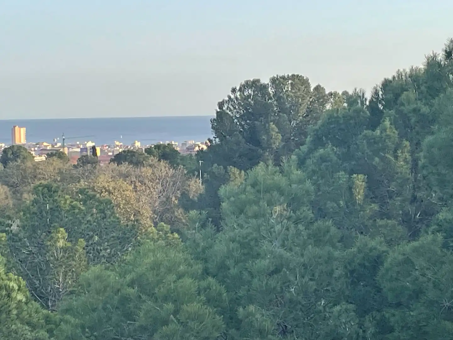 Terrenys i solars en venda a Ciutat Jardí Bonanova, imagen 7