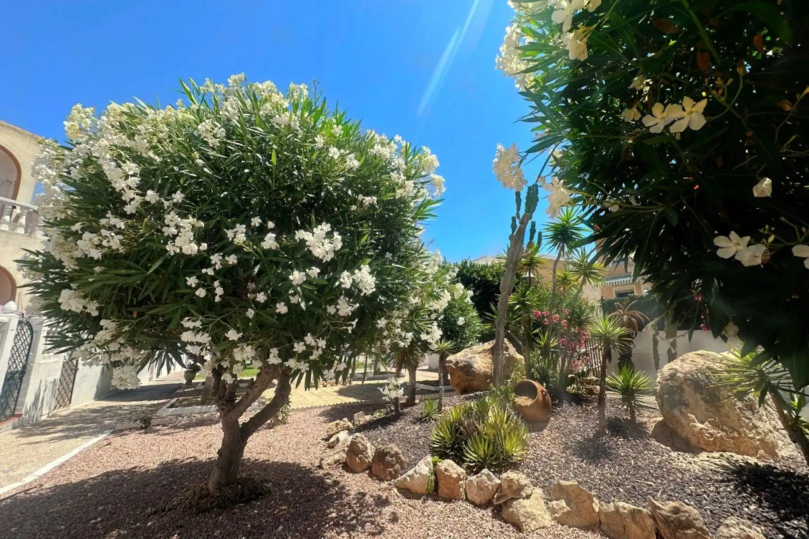 Bungalow en venta en Nueva Torrevieja - Aguas Nuevas, imagen 4