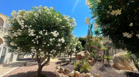 Foto 4 de Casa o chalet en venta en Torreblanca, Torrevieja
