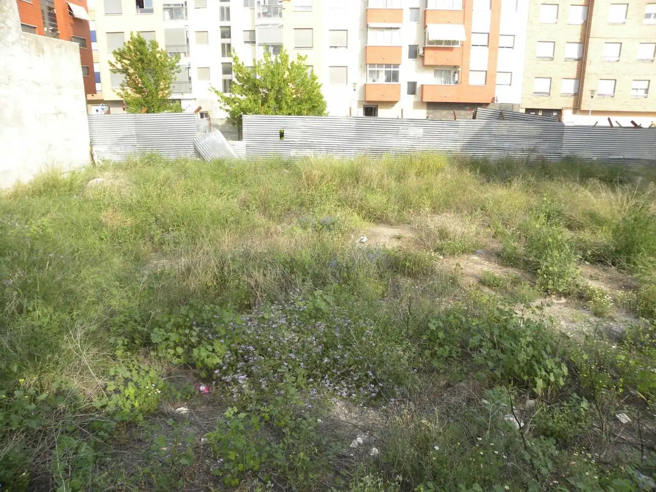 Terreno residencial en venta en Caravaca de la Cruz, imagen 3
