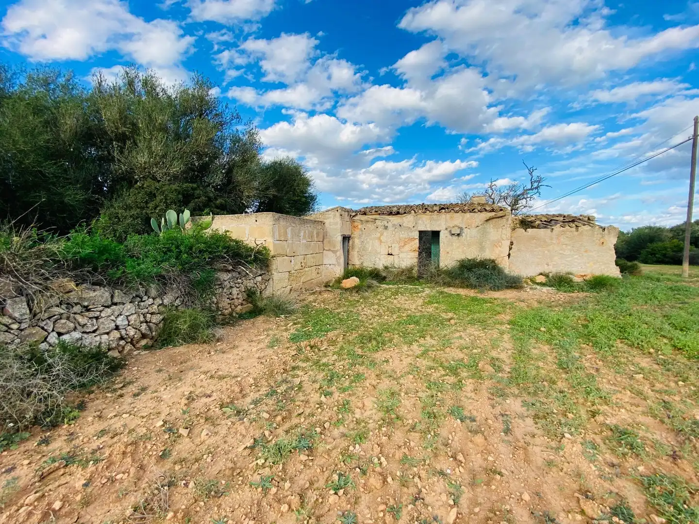 Rural land for sale in Felanitx Poble, imagen 6