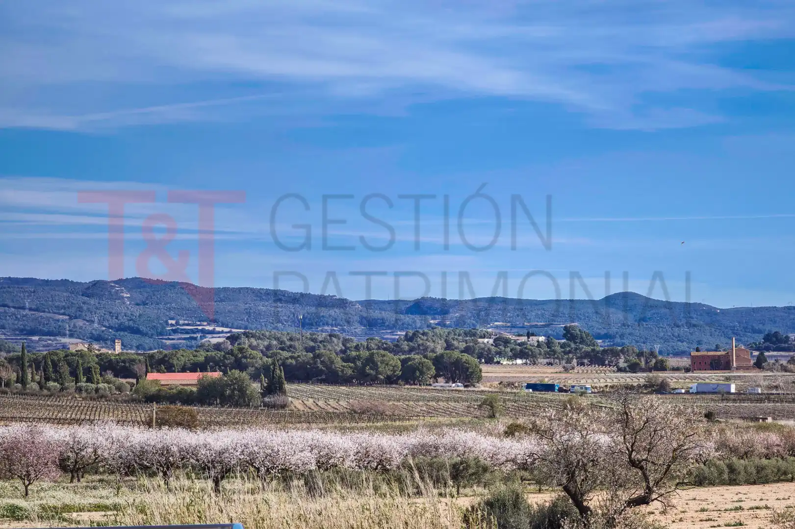 Detached homes for sale in Castellet i la Gornal  with Heating, Terrace and Oven