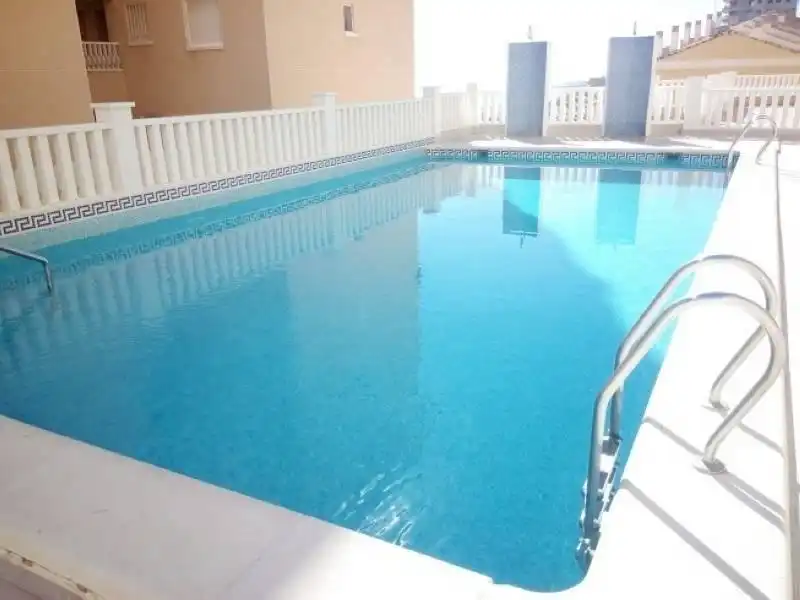 Swimming pool of Apartments for sale in Elche / Elx  with Private garden, Terrace and Storage room